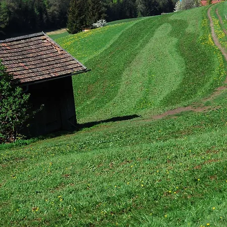 Elke Apartment Reith bei Seefeld