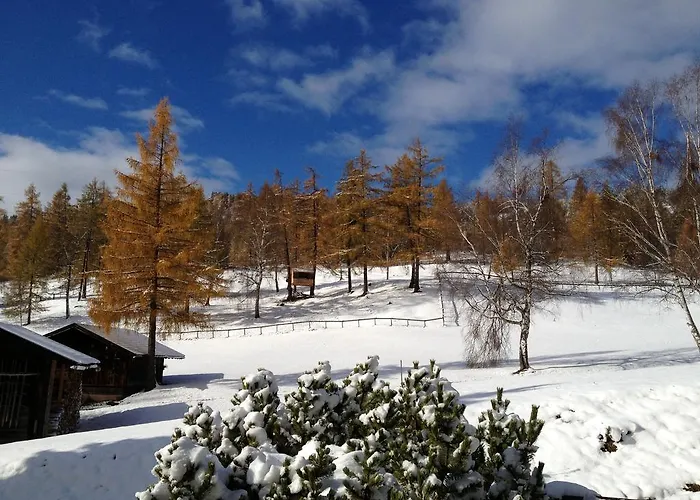 Elke ריית ביי סיפלד